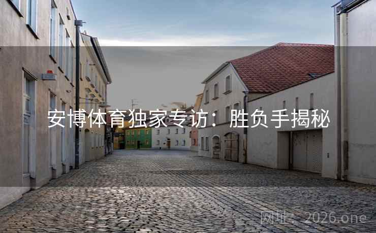 安博体育独家专访：胜负手揭秘  第2张