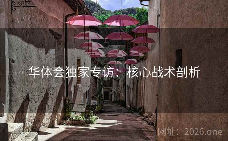 华体会独家专访：核心战术剖析