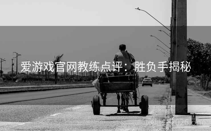 爱游戏官网教练点评：胜负手揭秘  第2张
