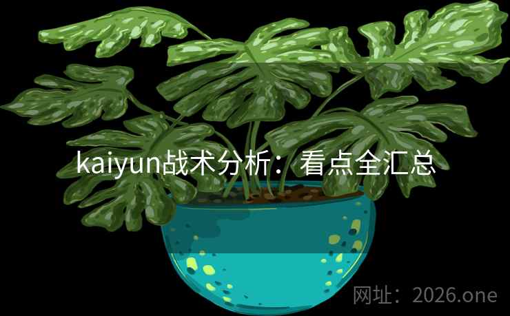 kaiyun战术分析：看点全汇总  第2张