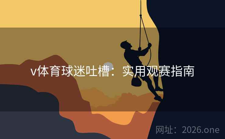 v体育球迷吐槽：实用观赛指南