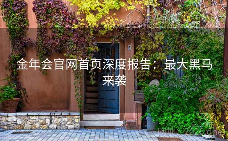 金年会官网首页深度报告:最大黑马来袭