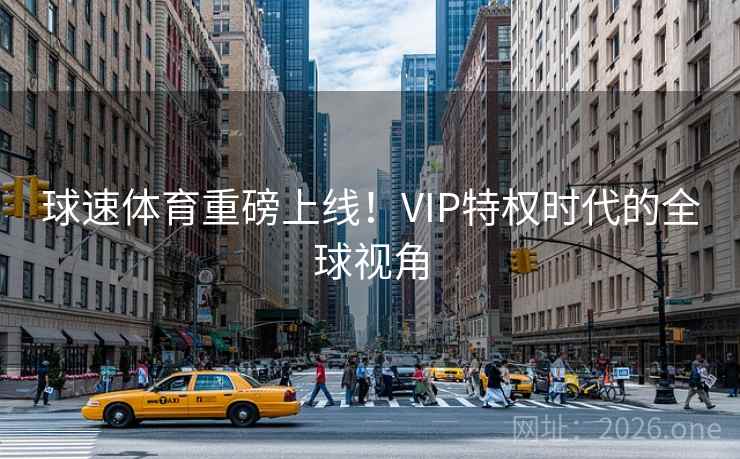 球速体育重磅上线!VIP特权时代的全球视角  第2张 球速体育重磅上线!VIP特权时代的全球视角  第2张
