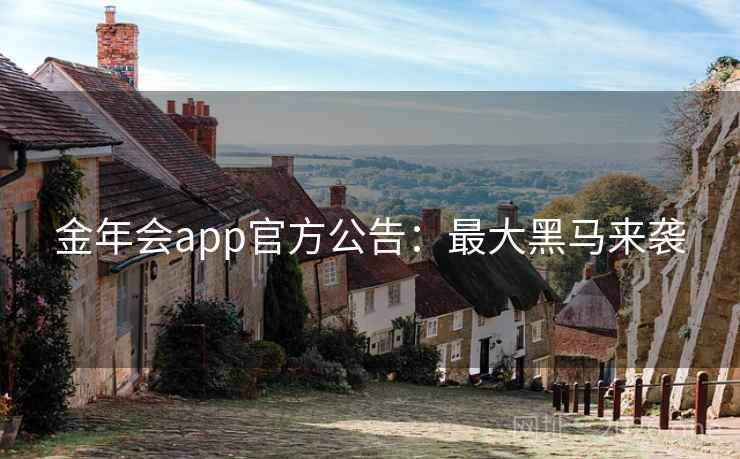 金年会app官方公告:最大黑马来袭