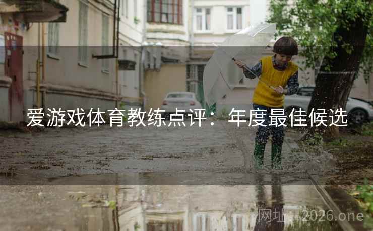 爱游戏体育教练点评：年度最佳候选  第2张