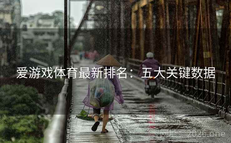 爱游戏体育最新排名:五大关键数据